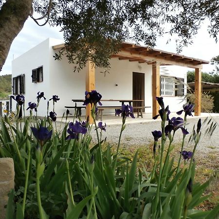 Sa Vinya Casa De Campo Ес Кубейс Екстериор снимка